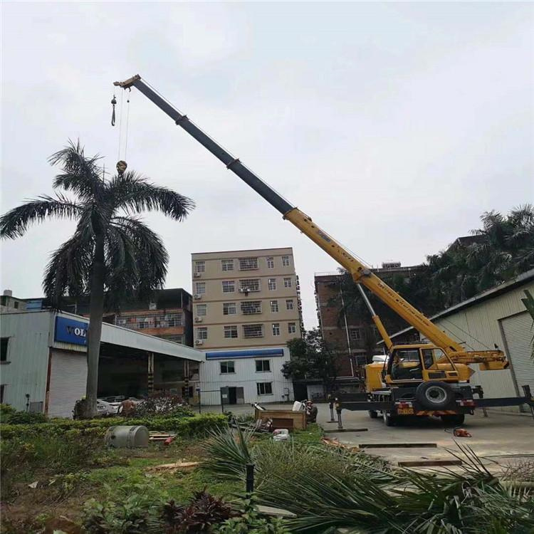 大安汽车吊出租多少钱？全面解析与市场行情